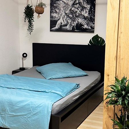Zentrumnah Inklusive Parkplatz Jungle-Suite By Rentigo - Ruheoase Im Herzen Von Saarbruecken! Buitenkant foto